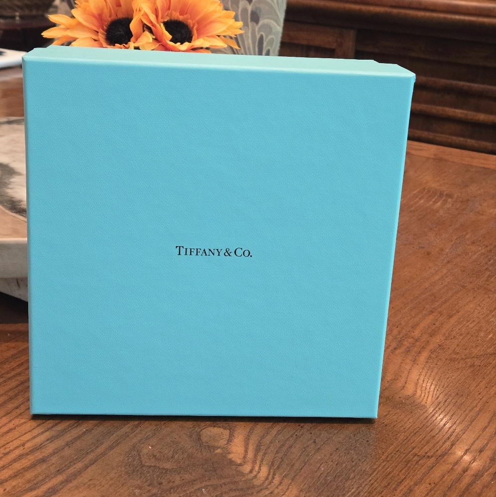 Tiffany & Co. Blue Box Empty